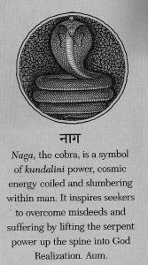Kundalini is often portrayed as a snake
