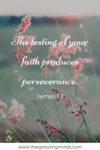 Tests of faith produce perseverance.